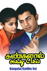 Kangalal Kaidhu Sei 2004 on netflix