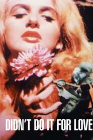 Didn’t Do It For Love 1998 on netflix