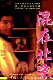 The Strangers in Beijing 1995 on netflix