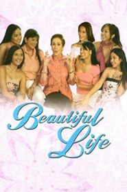 Beautiful Life 2004 on netflix