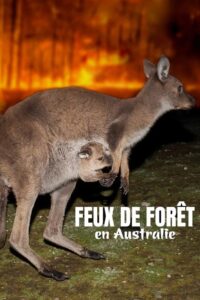 Bushfire Animal Rescue 2020 on netflix