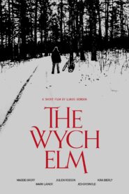 The Wych Elm 2022 on netflix