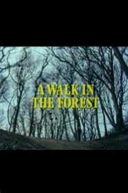 A Walk in the Forest 1980 on netflix