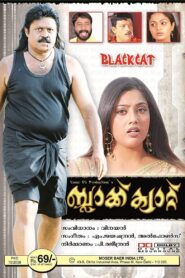 Black Cat 2007 on netflix