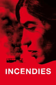 Incendies 2010 on netflix