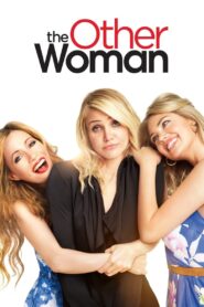 The Other Woman 2014 on netflix