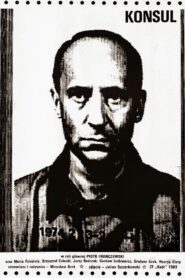Konsul 1989 on netflix