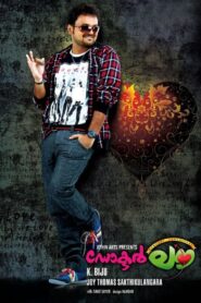 Doctor Love 2011 on netflix