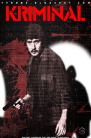Kriminal 1984 on netflix
