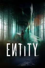 Entity 2012 on netflix