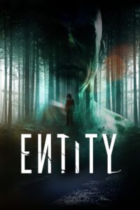 Entity 2012 on netflix