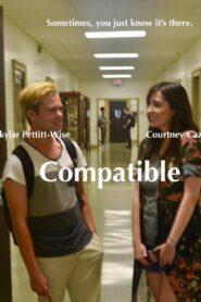 Compatible 2018 on netflix