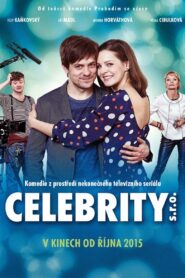 Celebrity Ltd. 2015 on netflix