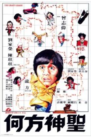 The Crazy Chase 1981 on netflix