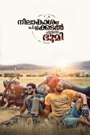 Neelakasham Pachakadal Chuvanna Bhoomi 2013 on netflix