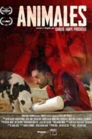 Animales 2021 on netflix
