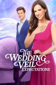 The Wedding Veil Expectations 2023 on netflix