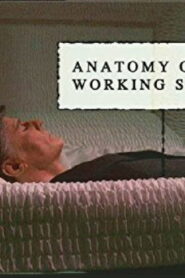 Anatomy of a Working Stiff 2004 on netflix