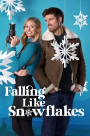 Falling Like Snowflakes 2024 on netflix