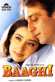 Baaghi 2000 on netflix