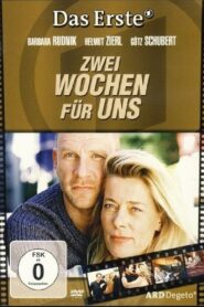 Zwei Wochen für uns 2005 on netflix