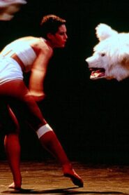 Paysage après la bataille 1997 on netflix