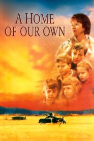 A Home of Our Own 1993 on netflix
