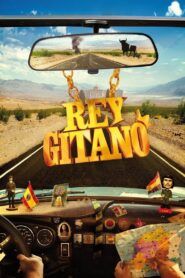 Rey gitano 2015 on netflix