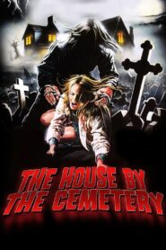 The House by the Cemetery 1981 on netflix