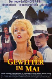 Gewitter im Mai 1987 on netflix