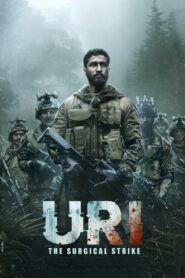 Uri: The Surgical Strike 2019 on netflix