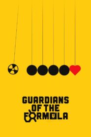 Guardians of the Formula 2024 on netflix
