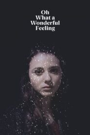 Oh What a Wonderful Feeling 2016 on netflix