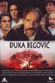 Djuka Begovic 1991 on netflix
