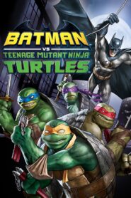 Batman vs Teenage Mutant Ninja Turtles 2019 on netflix