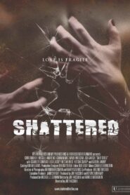 Shattered! 2008 on netflix