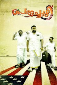 Peruchazhi 2014 on netflix