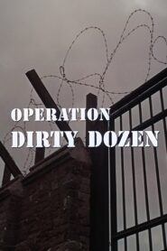 Operation Dirty Dozen 2006 on netflix