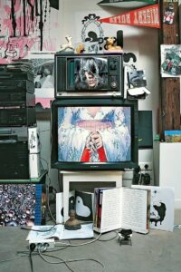 Inside Björk 2003 on netflix