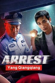 Arrest Yang Qiangqiang 2024 on netflix