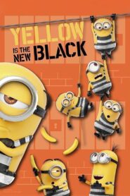 Yellow Is the New Black 2018 on netflix