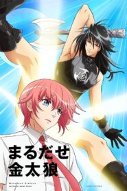 Marudase Kintarou 2020 on netflix