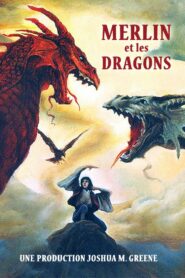Merlin and the Dragons 1991 on netflix