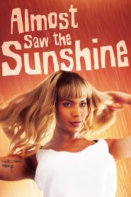 Almost Saw the Sunshine 2017 on netflix