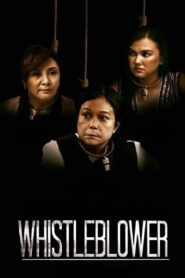Whistleblower 2016 on netflix