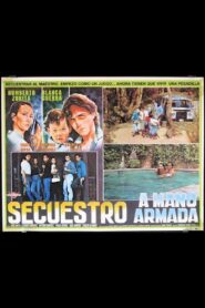 Secuestro a Mano Armada 1992 on netflix