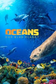 Oceans: Our Blue Planet 2018 on netflix