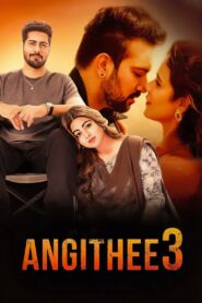 Angithee 3 2024 on netflix