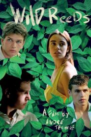 Wild Reeds 1994 on netflix