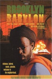Brooklyn Babylon 2001 on netflix